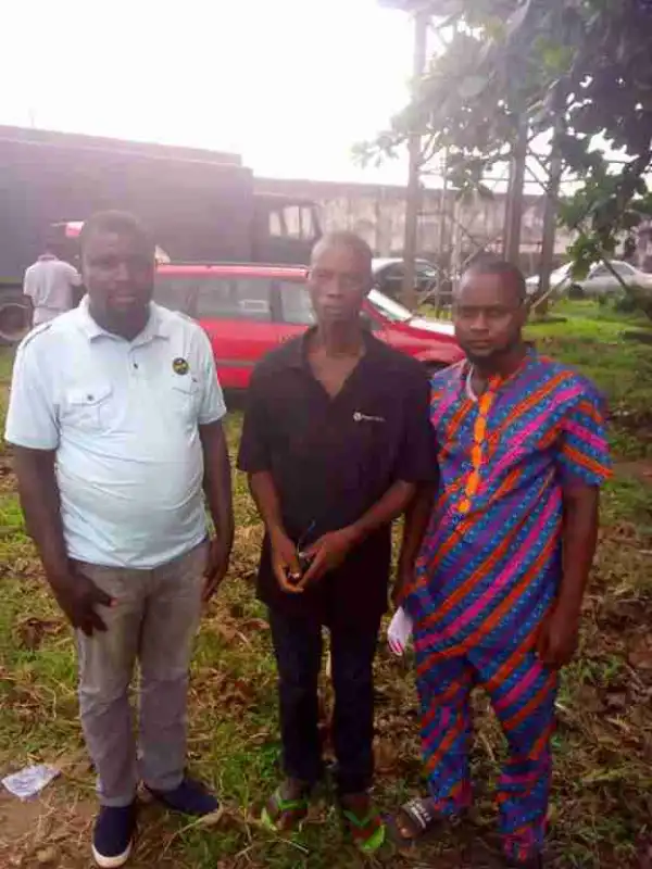 Man Owed 2 Months Salary Sent To Prison For Uprooting His Master